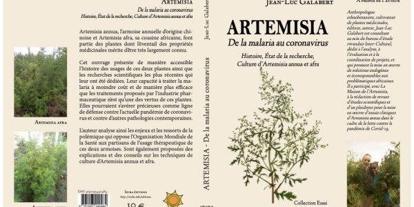 Image:L'Artemisia, pour lutter contre la malaria… et le coronavirus