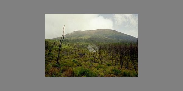 Image:Parcs nationaux congolais (RDC)