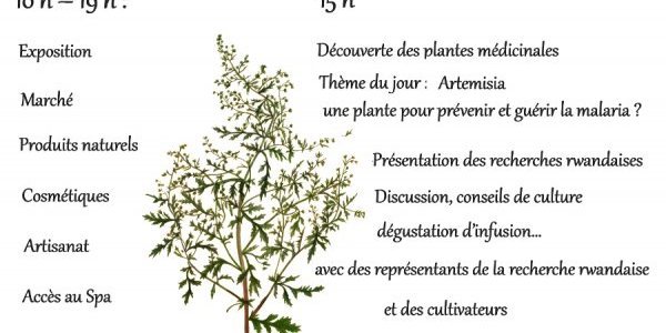 Image:Rencontre : Artemisia, une plante pour prévenir et guérir la malaria ?